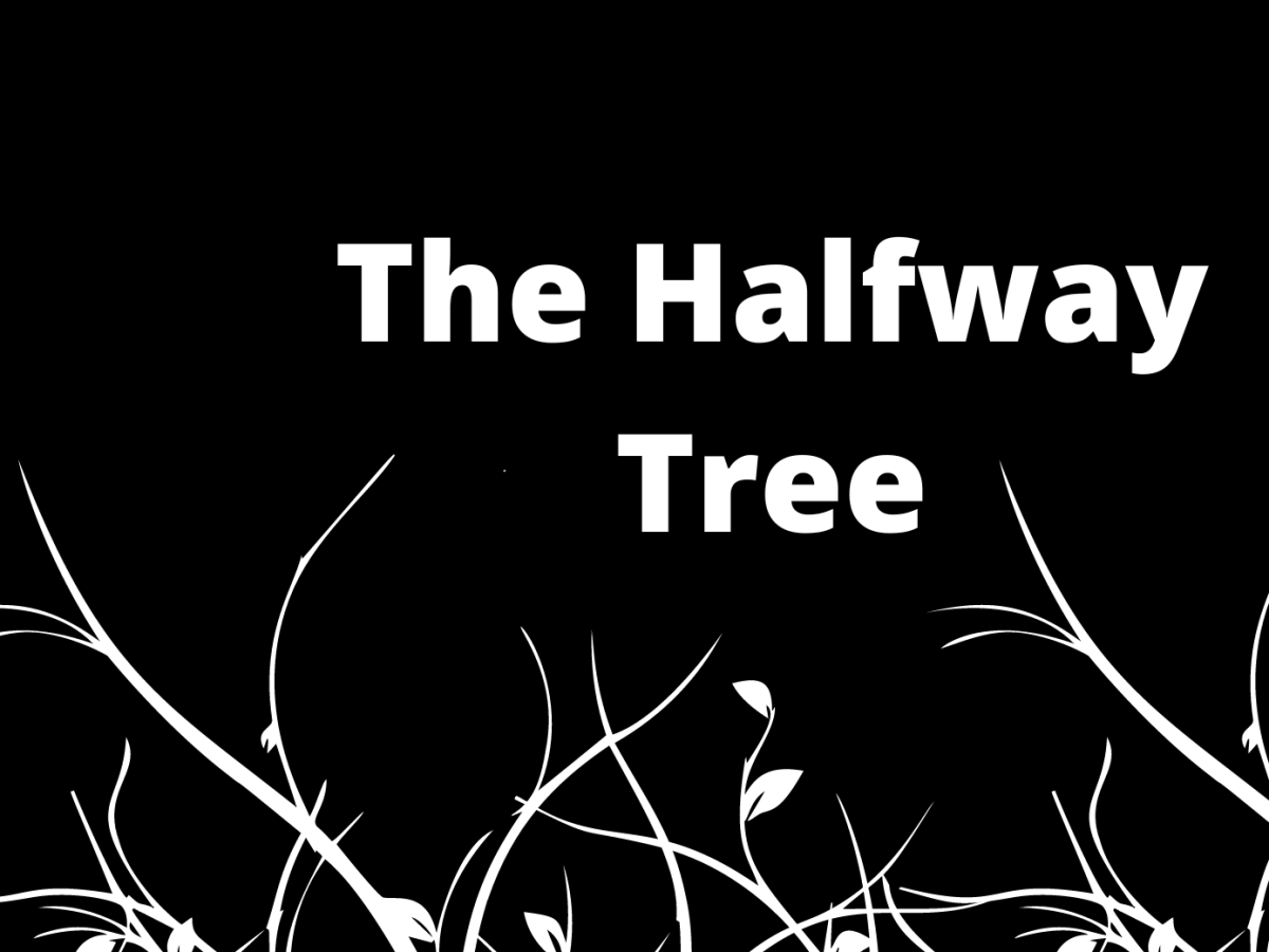 The Halfway Tree: Book Launch Interview with True Nicks